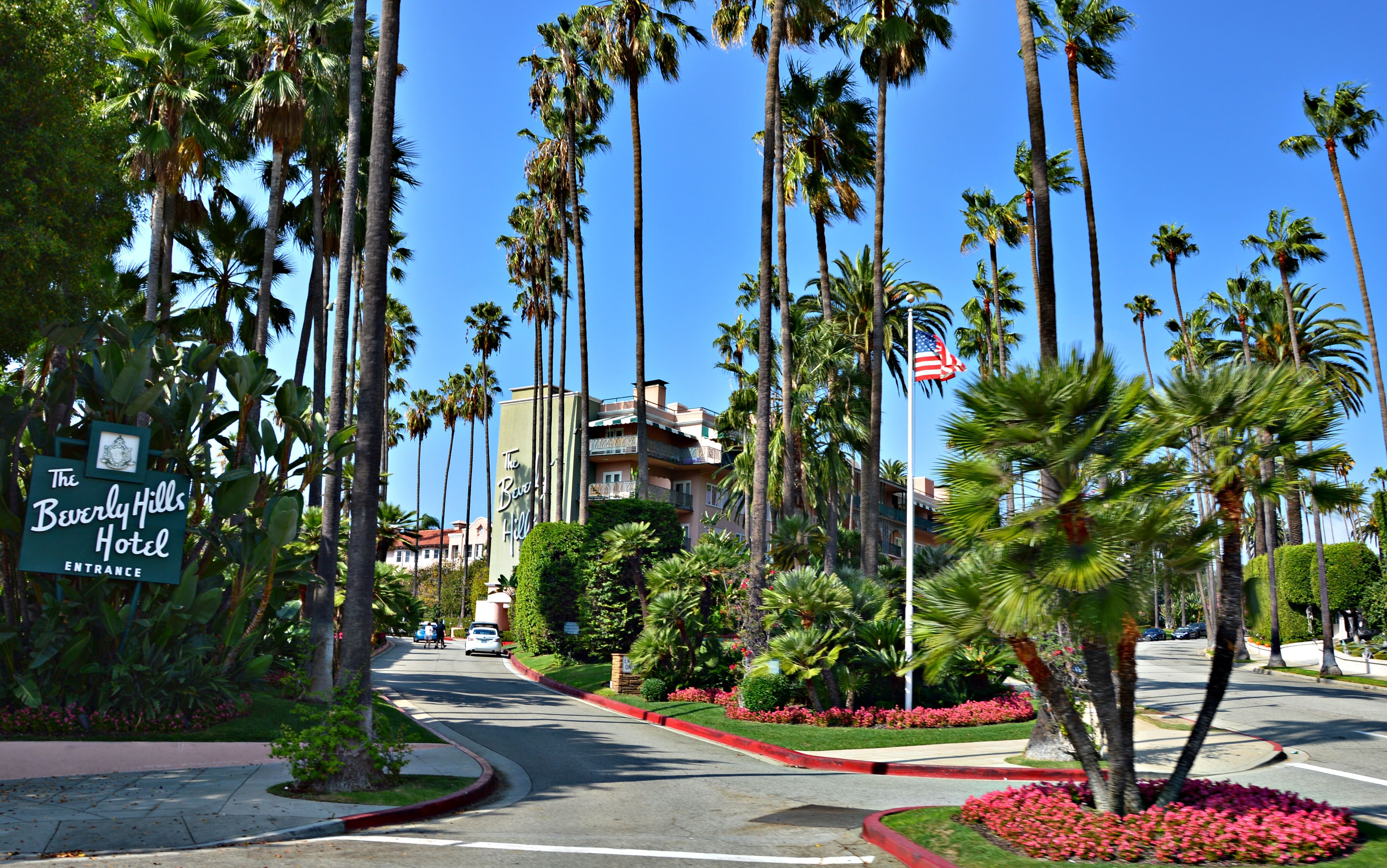 private LA highlights tour showing palm trees on narrated ride