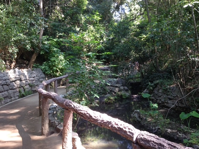 Fern Dell nature trail in Los Angeles