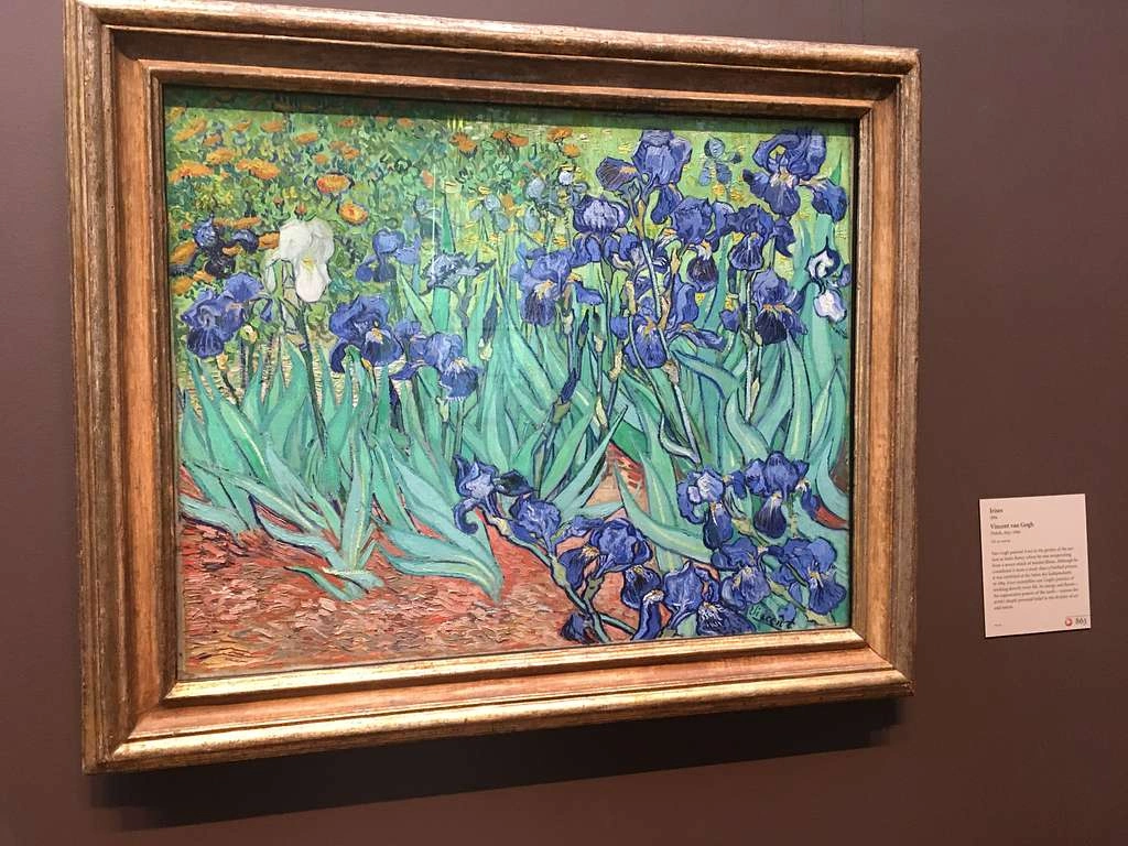Irises on display at J. Paul Getty Museum in Los Angeles, California