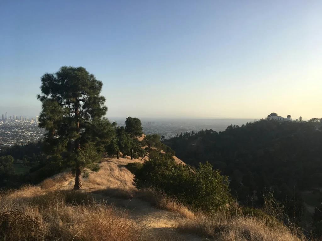 Hiking trail in Griffith Park, Los Angeles, with view of downtown skyline and observatory